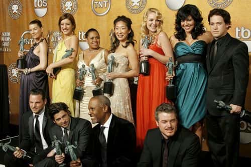 (L-R top) Actresses Ellen Pompeo, Kate Walsh, Chandra Wilson, Sandra Oh, Katherine Heigl, Sara Ramirez, T.R. Knight, (L-R bottom) actors Justin Chambers, Patrick Dempsey, James Pickens Jr., and Eric Dane, winners of the 