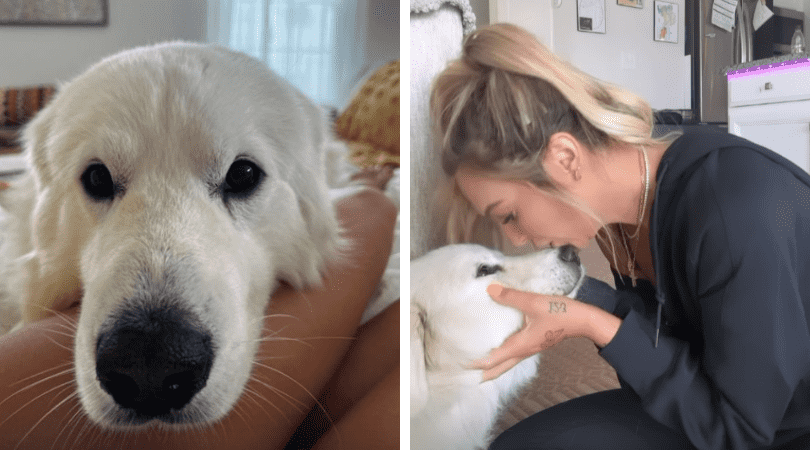 (Instagram@jombo_imkt)
