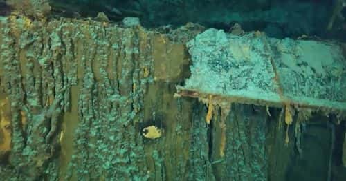 Signs of coral and marine life are visible near the Titanic wreckage site near Newfoundland, Canada (Photo credit screenshot OceanGate Expiditions / YouTube)