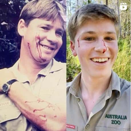 (robertirwinphotography@Instagram)