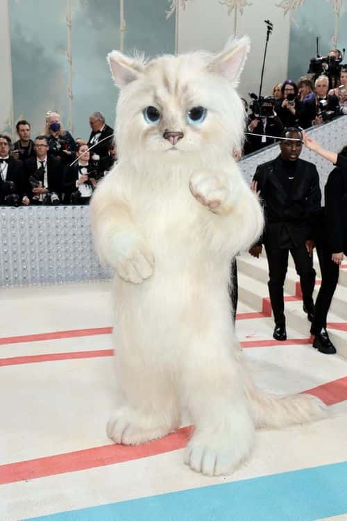 Jared Leto, dressed as Choupette, attends The 2023 Met Gala Celebrating 