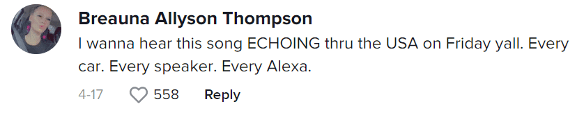 (Chinchilla music/TikTok)