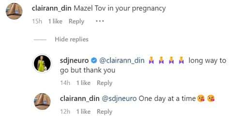 'RHOBH' star Diana Jenkins confirmed her fourth pregnancy with her reply to a comment by a fan (Instagram/@sdjneuro)