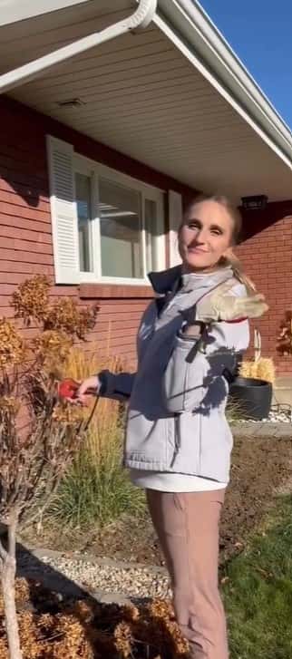 Ruby Franke's sisters llie Mecham, Bonnie Hoellein, and Julie Deru shared a staememt on each of there Instagrams accounts