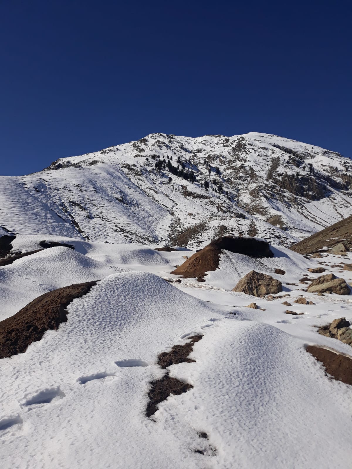 Photo by Munsif Khan/Pexels