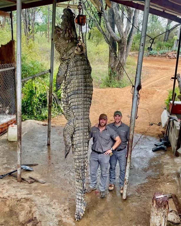 The 15 foot long and 71 stone heavy crocodile that was hinted by Garrett Wales and his team (Photo credit Instagram/williethekid26)