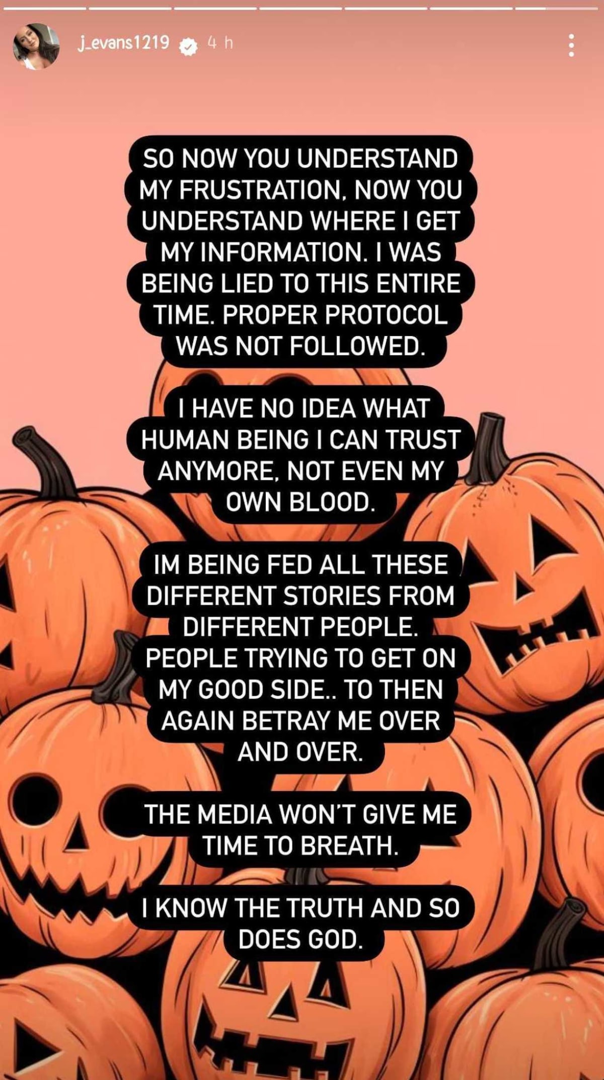 Jenelle Evans blasted the police in her Instagram stories (j_evans1219/Instagram)