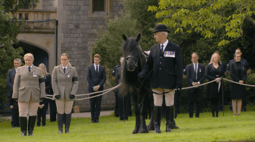 Terry Pendry, the Queen's head groom, was seen standing alongside the Emma (@RoyalFamilyITNP/Twitter screenshot)