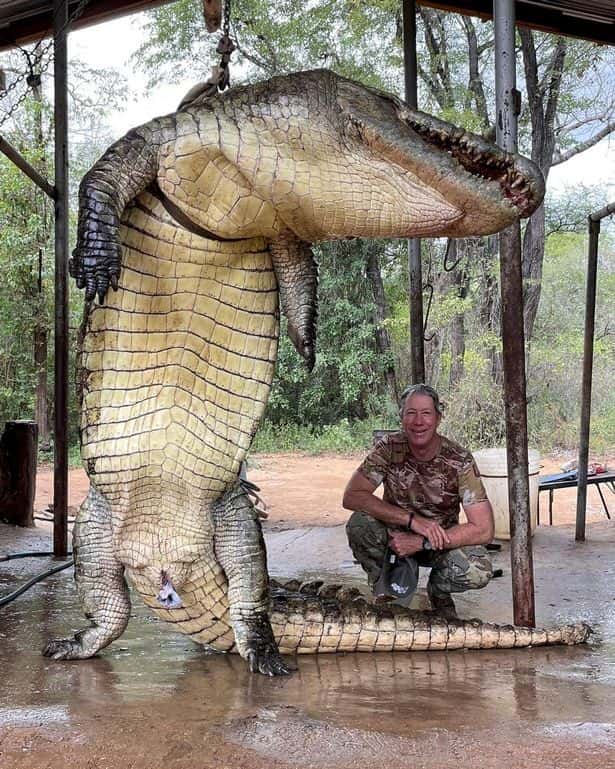 The gigantic beast was killed by Garrett Wales  by a .33 Nosler rifle (Photo credit Instagram/williethekid26)