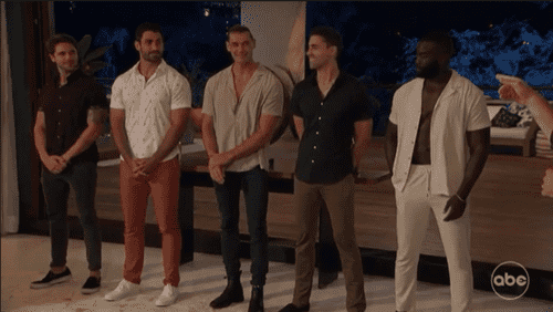 New men arrive at 'Bachelor in Paradise' 2022 (ABC)
