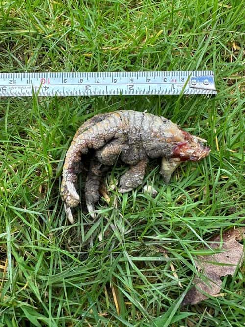 (Facebook/Laura Moorcroft)