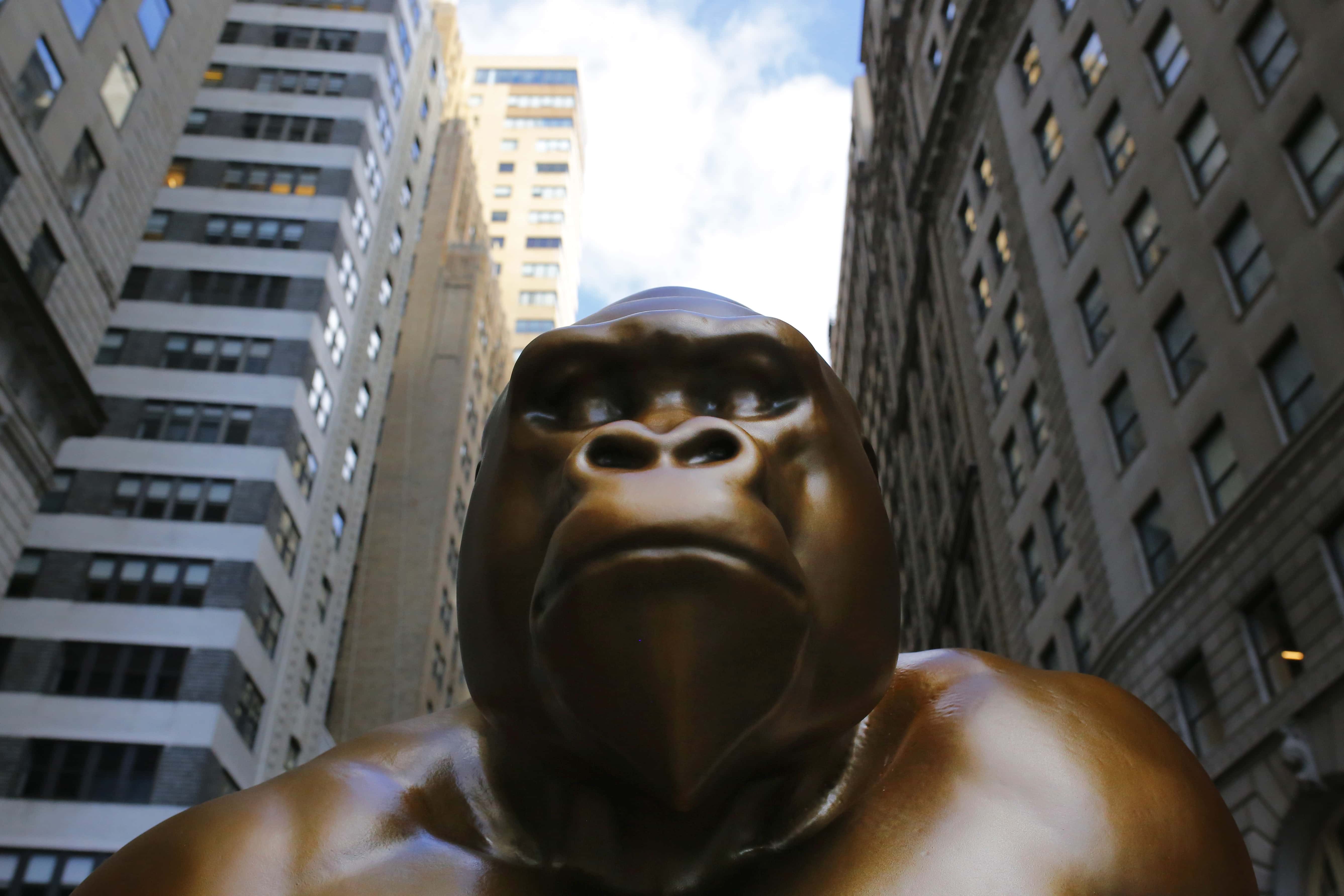 A statue of Harambe is seen on October 18, 2021 in New York City. The Sapien.Network, a social networking platform currently under development, unveiled a seven-foot statue of Harambe,  a gorilla from the Cincinnati Zoo and Botanical Garden who became a media sensation in May 2016 who was shot by zookeepers to protect a child, in front of the Charging Bull statue that was surrounded by bananas, that would be distributed to local food shelves, to protest wealth disparity in the country. The group states that the statue of Harambe