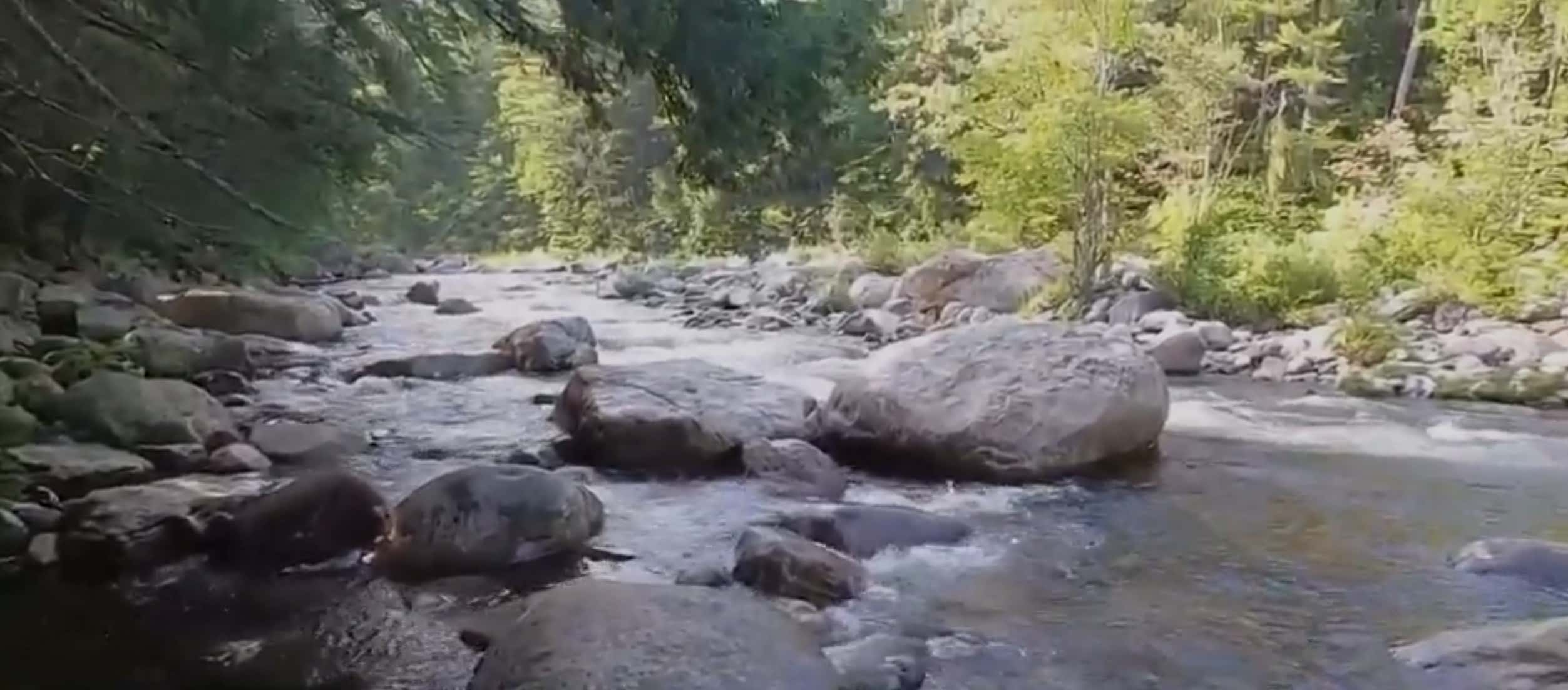 Vincent Parr died drowning in the New Hampshire River (ABC WCVB screengrab)