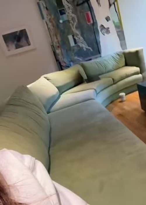 Emily Ratajkowski showing off her green couch (Emily Ratajkowski/ TikTok)