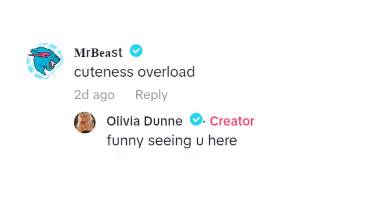 (@livvydunne/TikTok)