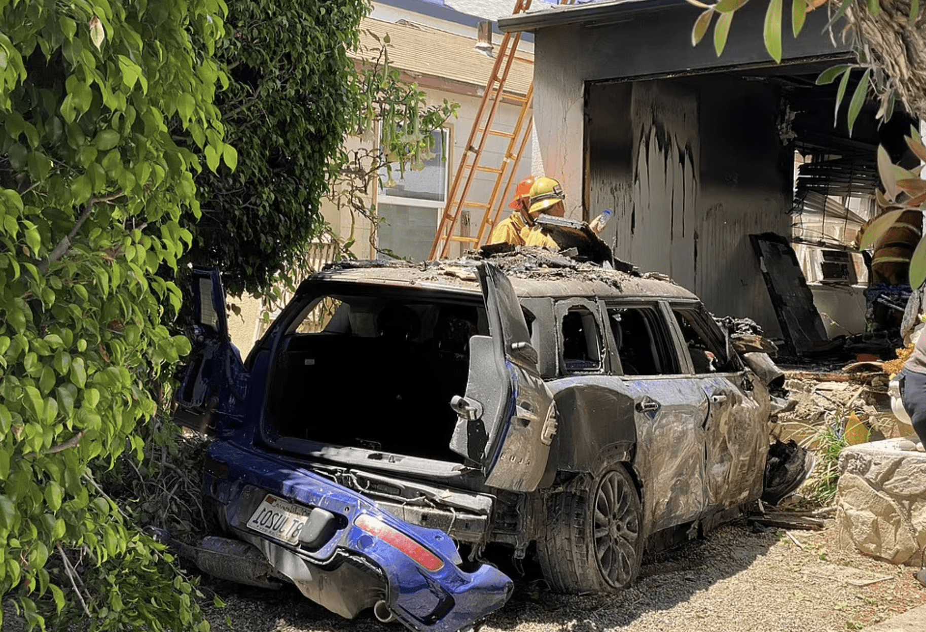 (David Pearlman/Daily Mail)