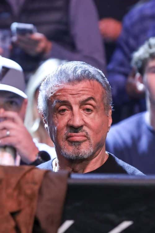 Sylvester Stallone attends UFC 281 at Madison Square Garden, New York (Backgrid)