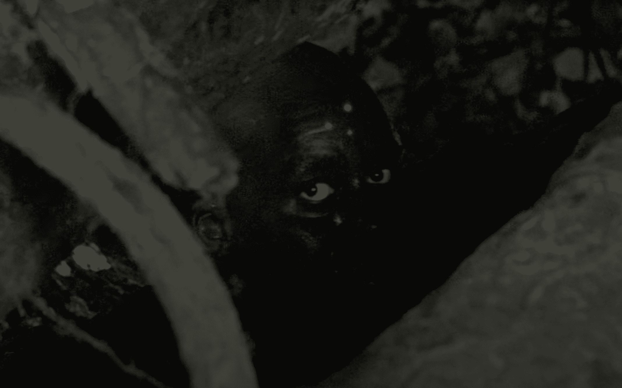 Bill Duke in a still from 'Predator' (IMDb)