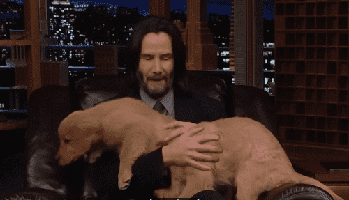 Keanu Reeves now evidently has four-legged furry fans (Youtube/thetonightshowstarring jimmyfallon)