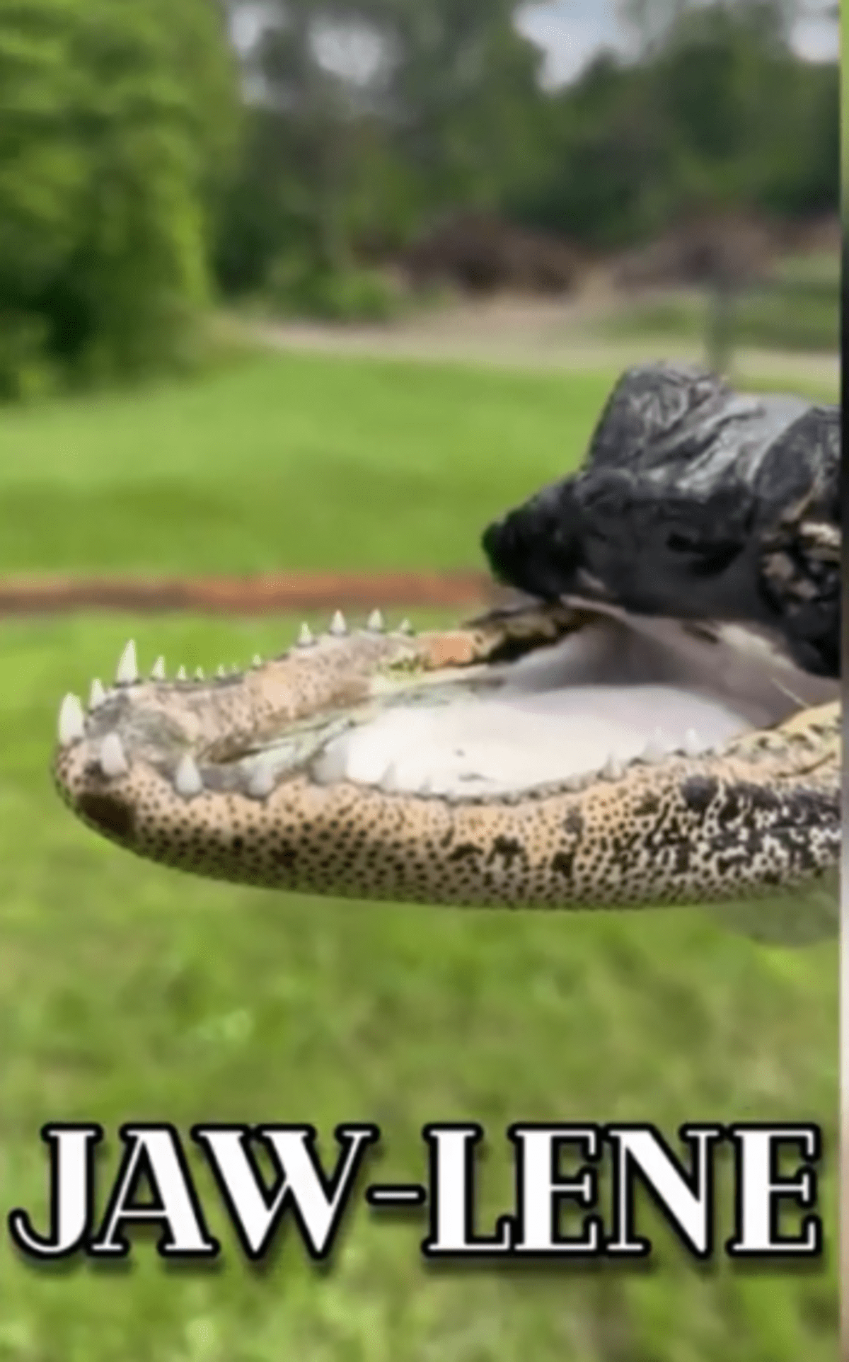 (@CBS12NewsWPEC/Youtube)