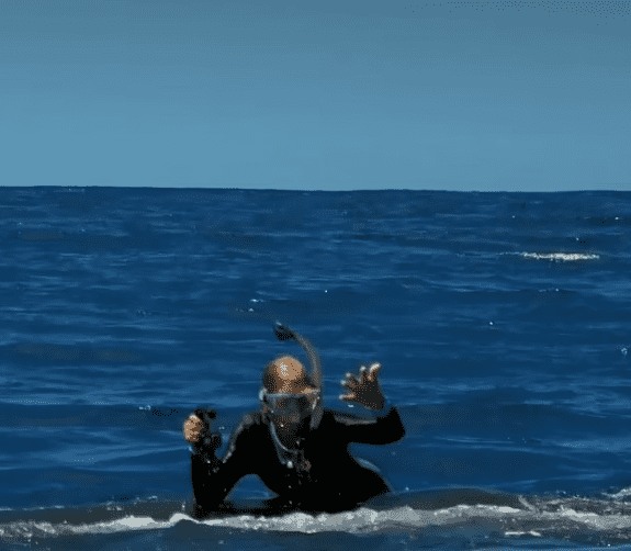 Describing those final moments, she shared how she saw the protective whale right beside her, acting as her guardian 