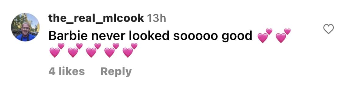 comment section on Paige's recent post (@_paige.renee/Instagram)