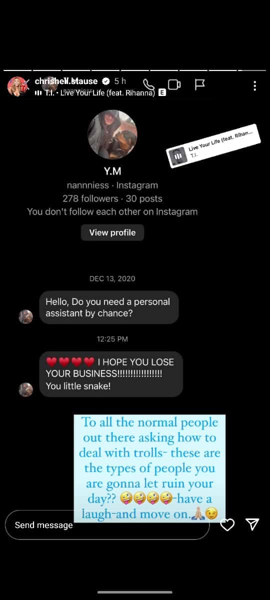 'Selling Sunset' star Chrishell Stause deals with trolls (@chrishell.stause/Instagram)