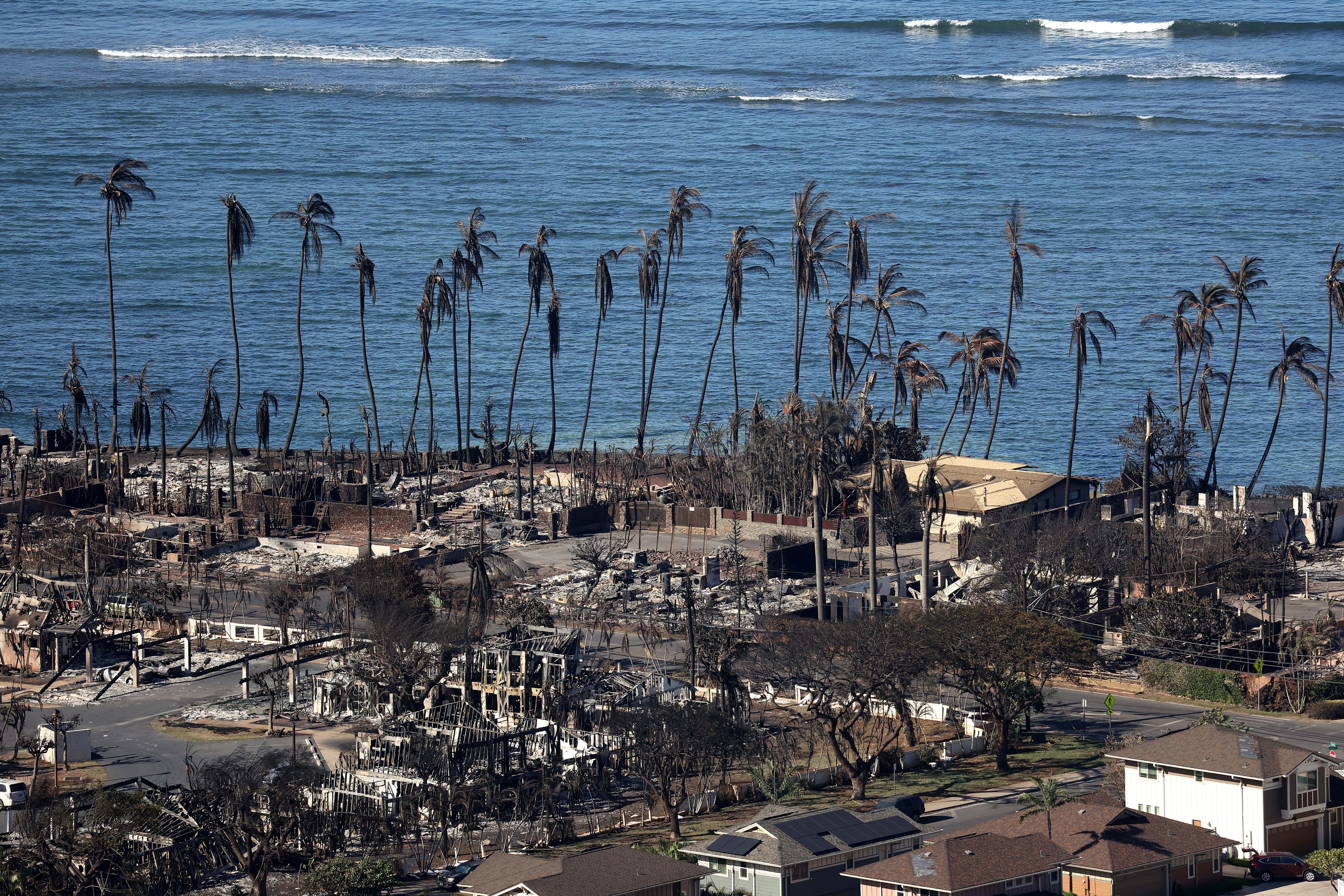 In an aerial view, homes and businesses are seen that were destroyed by a wildfire on August 11, 2023 in Lahaina, Hawaii. Dozens of people were killed and thousands were displaced after a wind-driven wildfire devastated the town of Lahaina on Tuesday. Crews are continuing to search for missing people.