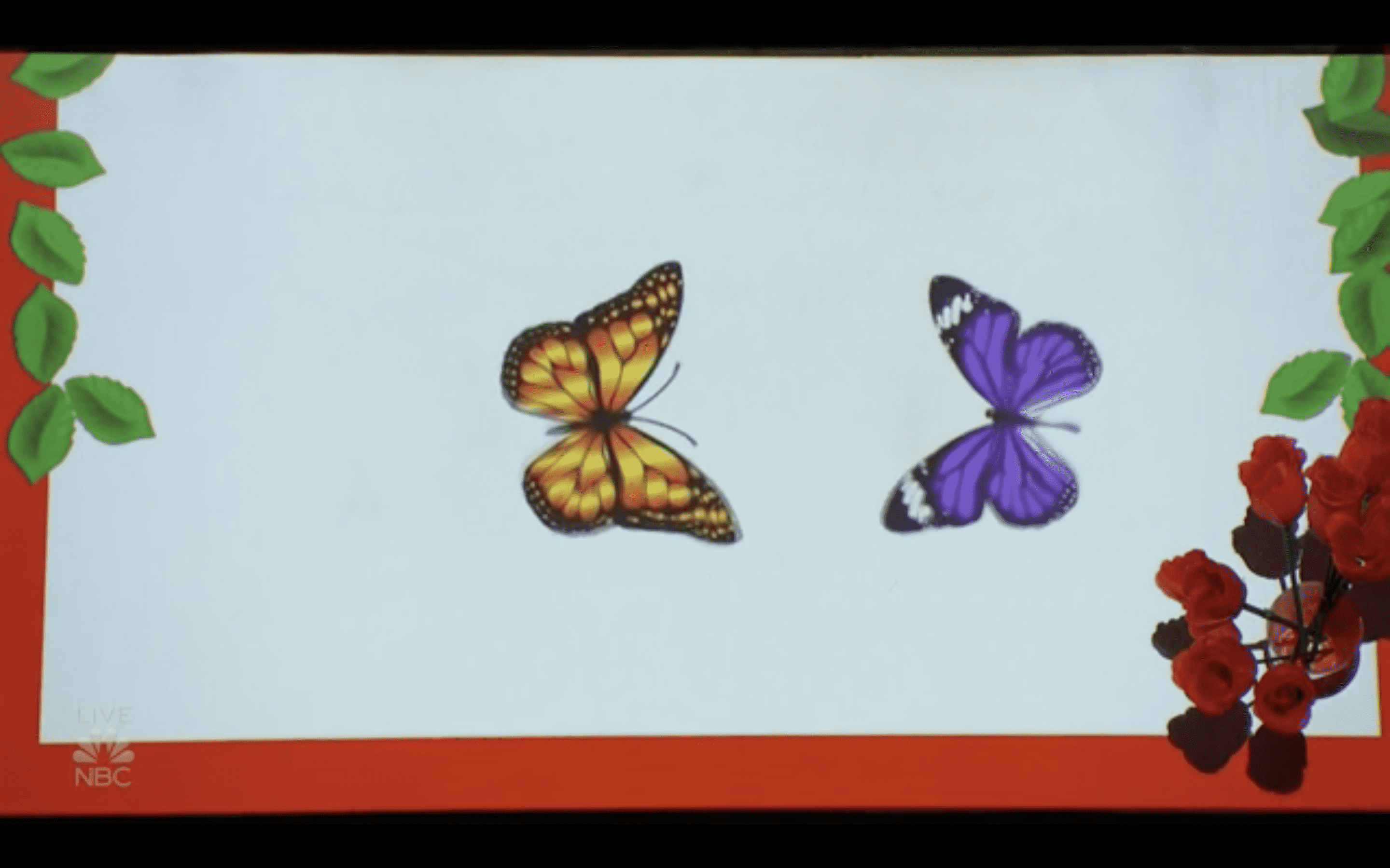 A still from Nicolas Ribs' magic act (AGT/ NBC)