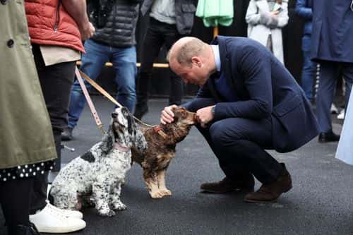 Prince William, Prince of Wales visits the Trademarket outdoor market, as part of the royal visit to Northern Ireland on October 6, 2022 in Belfast, Northern Ireland.