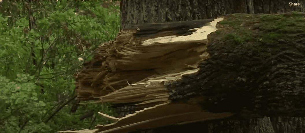 The couple did everything they could to get him out from underneath, but it was too heavy for them to lift (foxcarolina/Youtube)