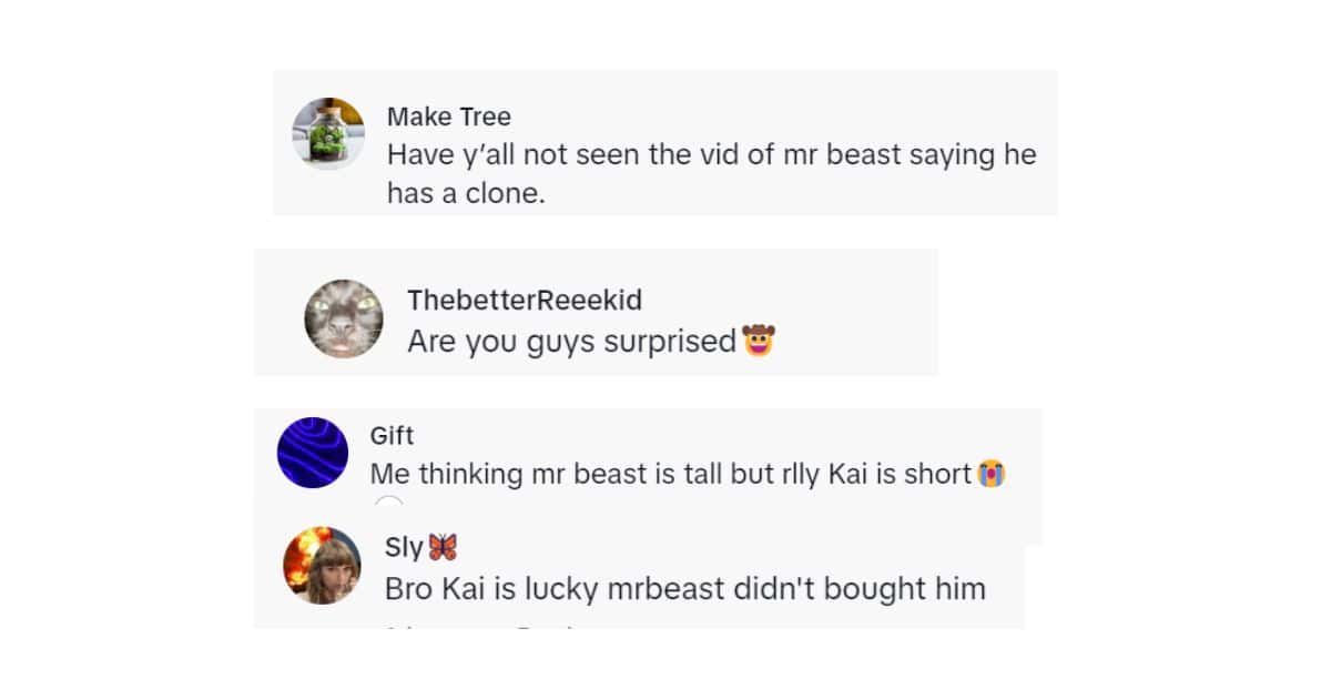 (@houseofhighlights/TikTok)