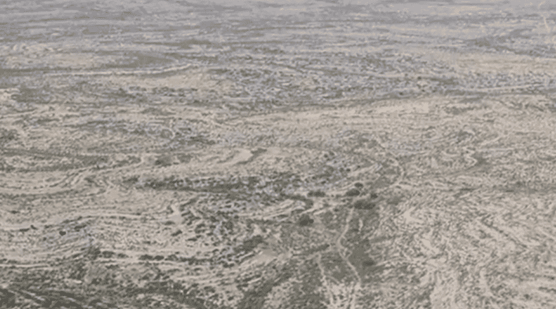 (Daily Mail/ video screen grab)