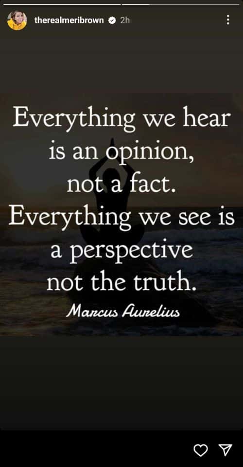 'Sister Wives' star Meri Brown's Instagram story (Instagram/@therealmeribrown)