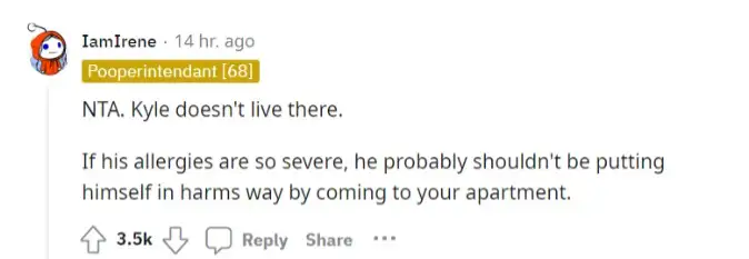 Reddit comment (Reddit)