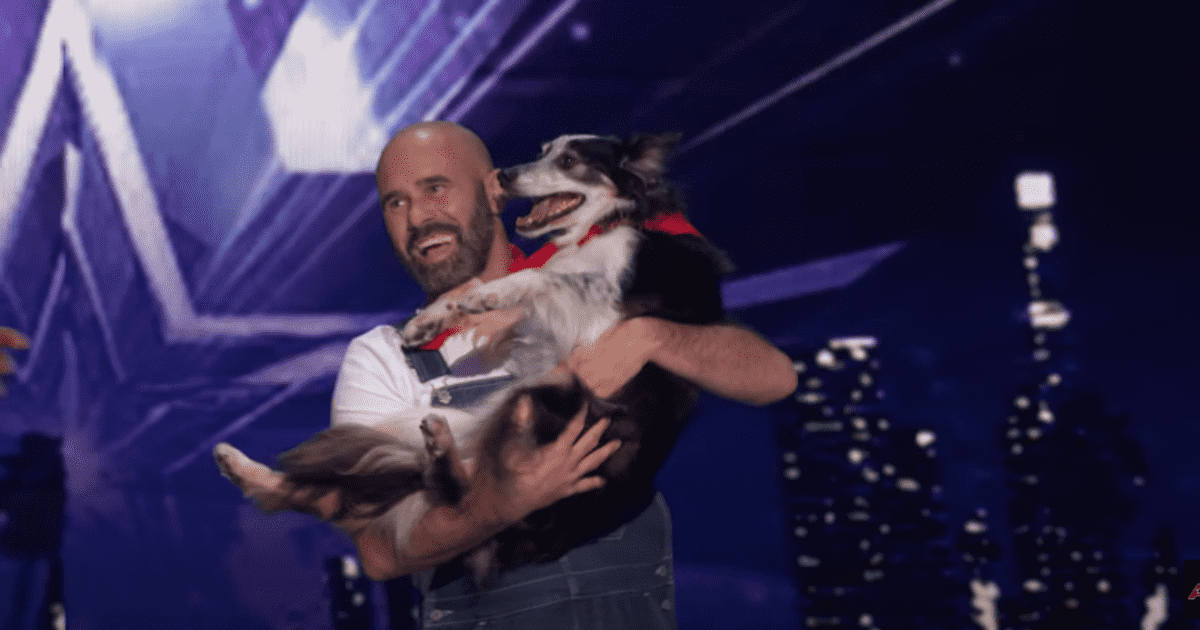 'AGT' viewers dub Adrian and Hurricane the best pet act on the NBC stage (YouTube/AGT)