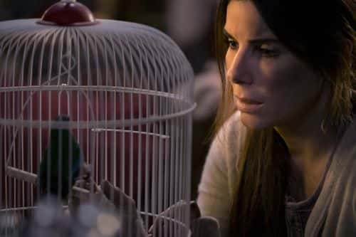 Sandra Bullock as Malorie in 'Bird Box' (2018) (IMDb)