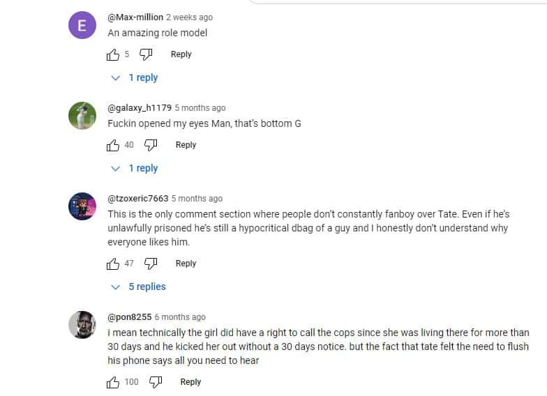 (@tatestories/YouTube)