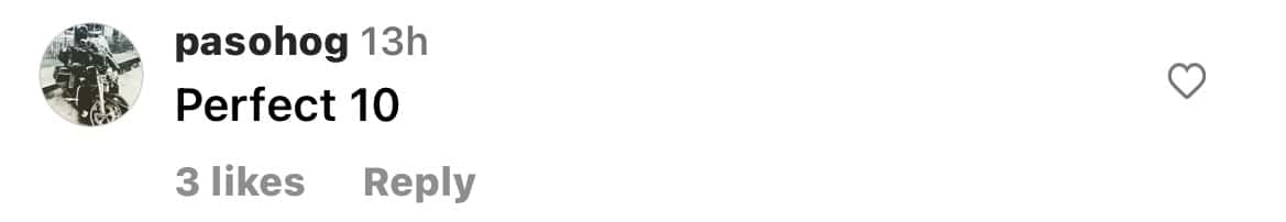 comment section on Paige's recent post (@_paige.renee/Instagram)