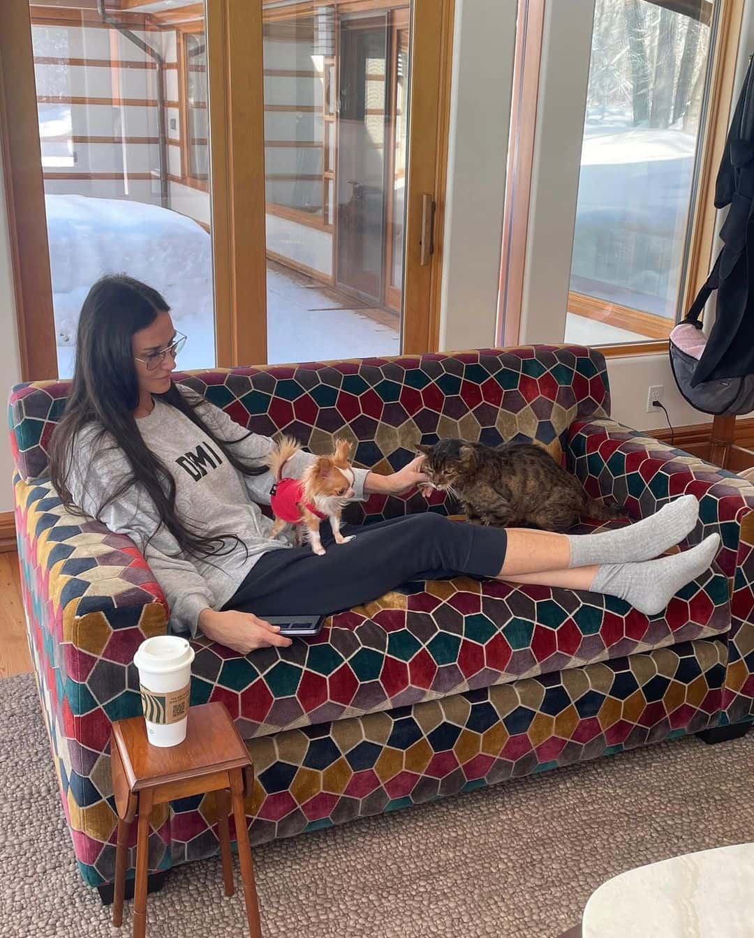 Pilaf is half a pound heavier than the world's smallest dog, a chihuahua called Miracle Milly from Puerto Rico (demimoore/Instagram)

