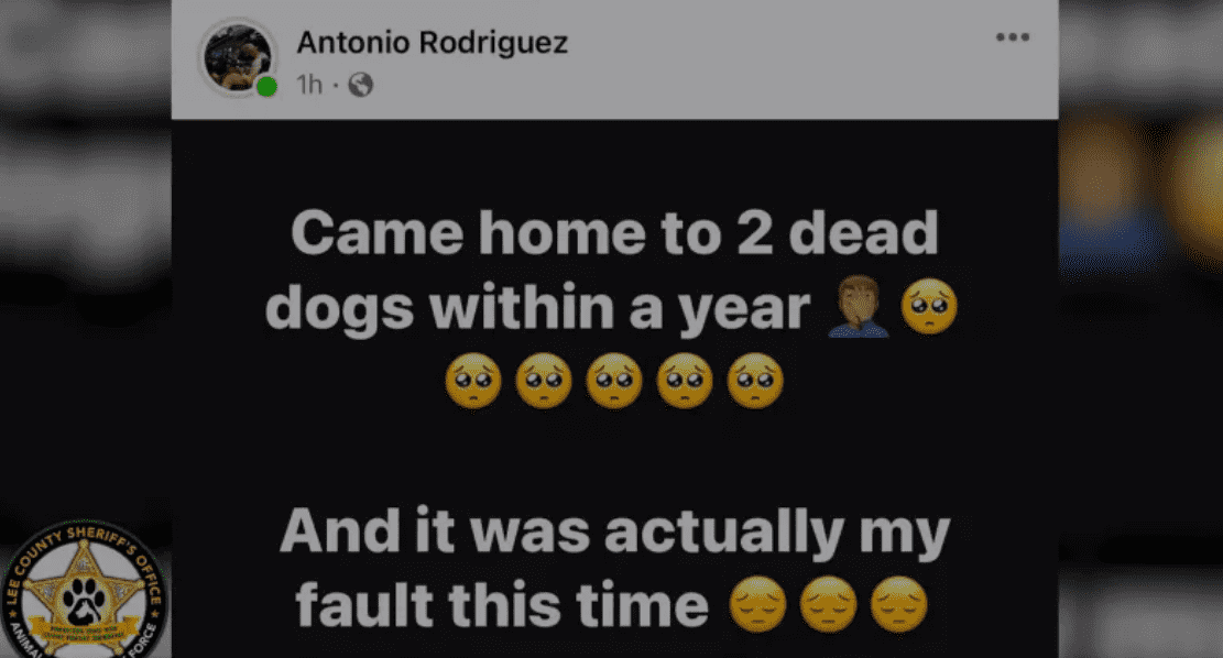 Authorities investigated the death of Anthony Knight's pet dog after he posted disturbing messages on social media (Lee County Sheriff's Office)