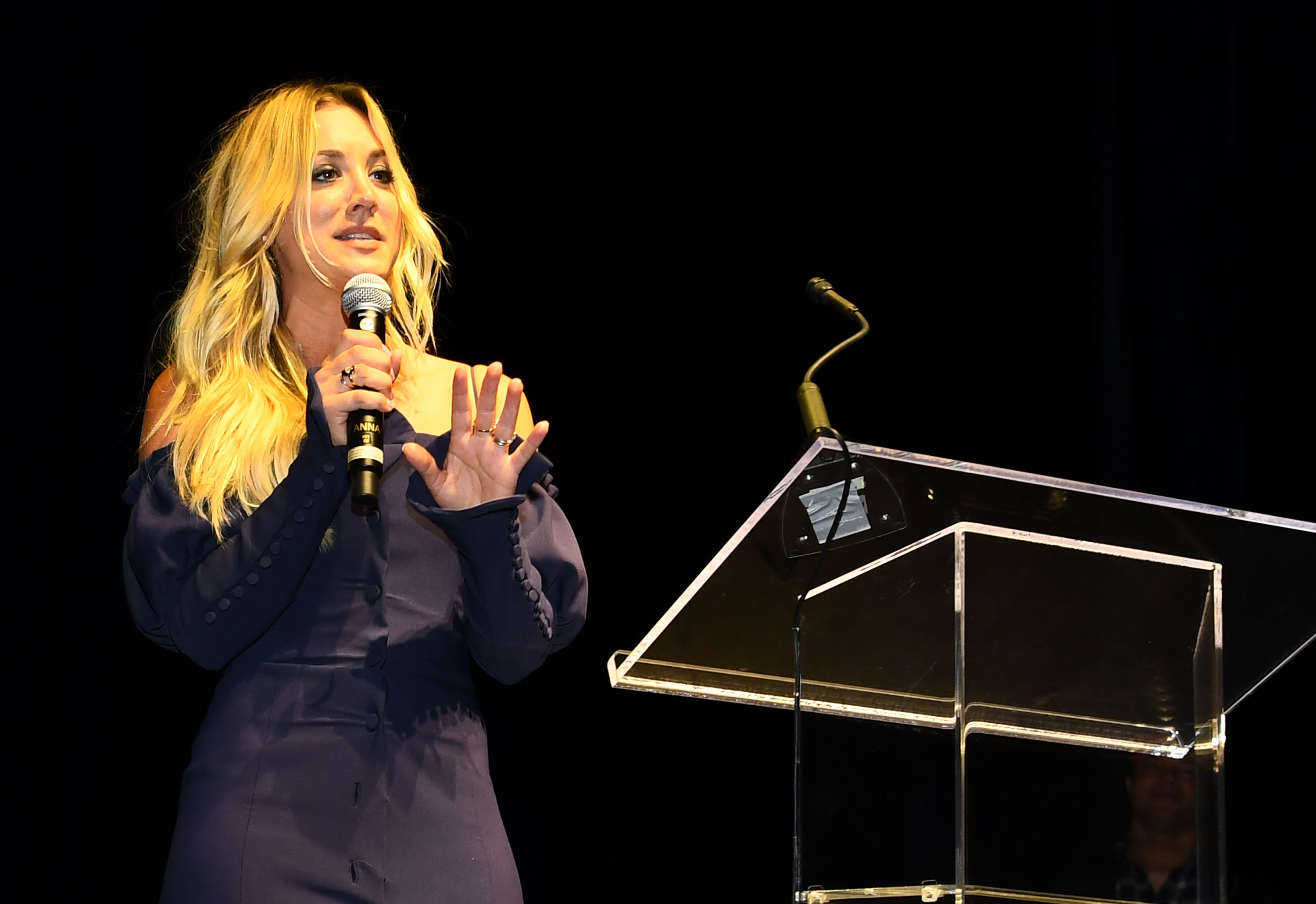 Actress Kaley Cuoco, the voice of the Harley Quinn, makes special appearance during DC UNIVERSE's Titans World Premiere on October 3, 2018 in New York City. (Getty Images)