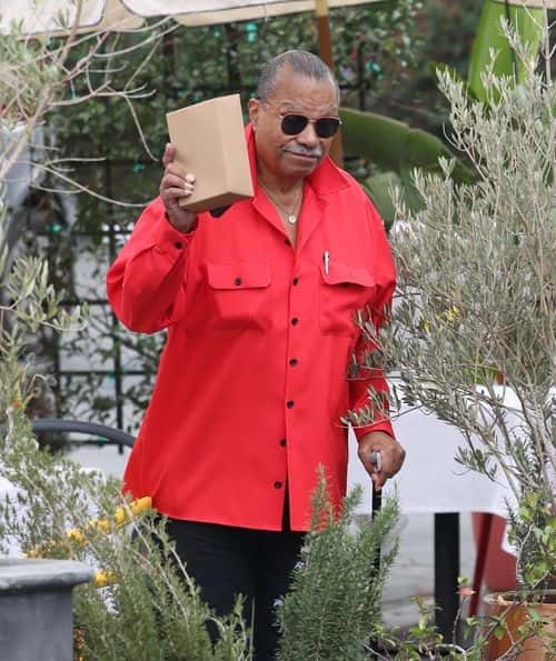 Billy Dee Williams (Photo: Backgrid)