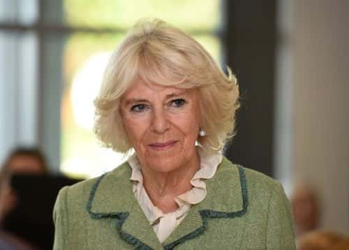 Camilla, Duchess of Cornwall opens Royal National Hospital for Rheumatic Diseases (RNHRD) and Brownsword Therapies Centre on October 22, 2019 in Bath, England. (Photo by Finnbarr Webster - WPA Pool / Getty Images)