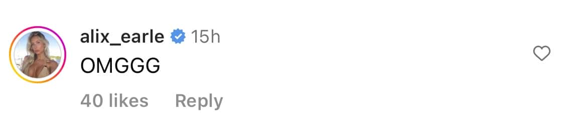 A glimpse of comment section of pictures  shared by Dixie (@dixiedamelio/Instagram)