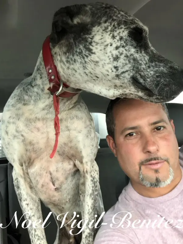 The cistern Noel Vigil-Benitez and his friends jumped into was far below the opening of the hole at ground level (Bastrop County Sheriff's Office)