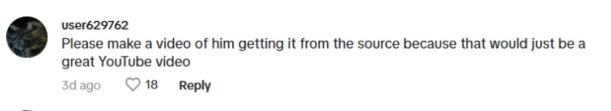 MrBeast's fans react to poop coffee (MrBeast/ TikTok)
