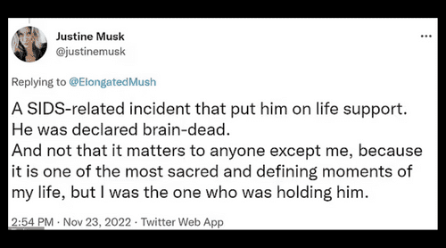 (Twitter/justinemusk)