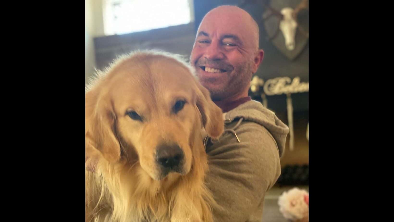 Joe Rogan with his pet dog Marshall Mae Rogan (@joerogan/Instagram)