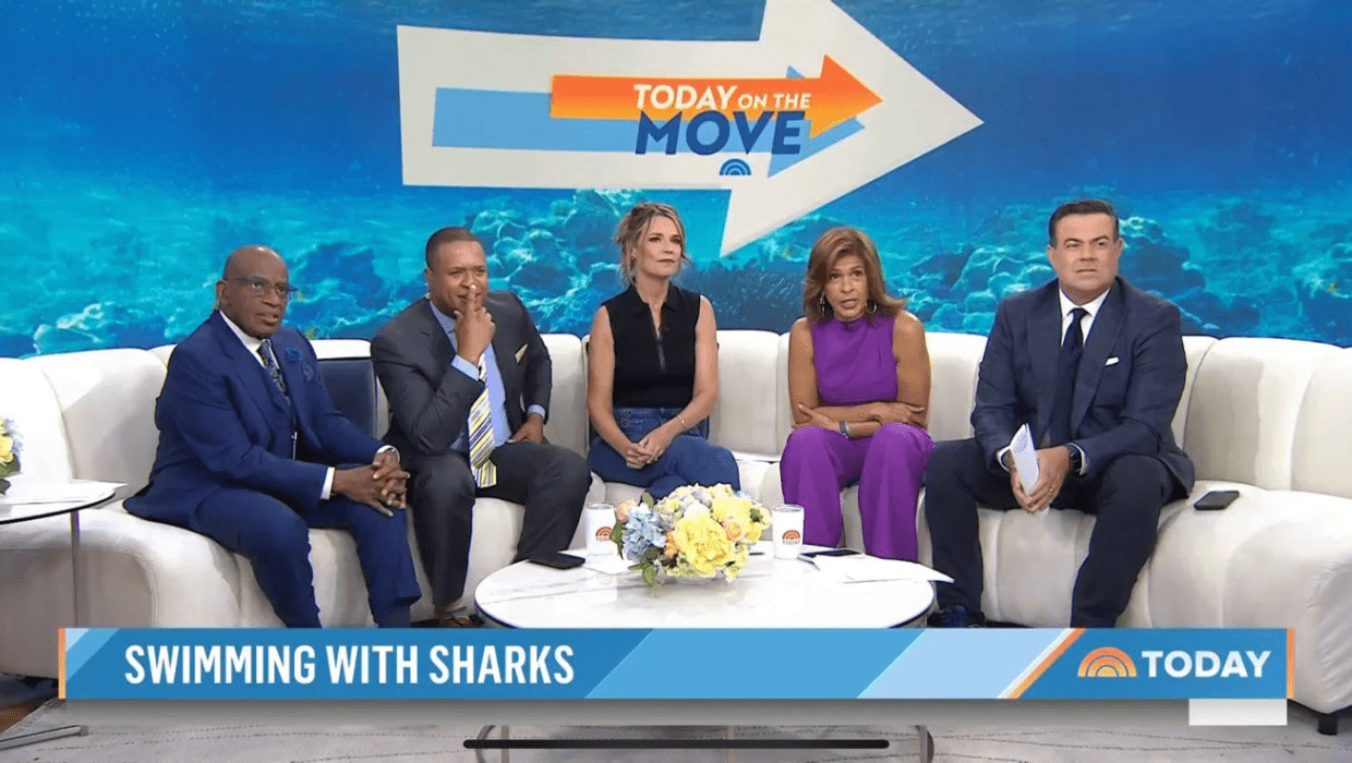 'Today' hosts stunned after Tom Costello goes live underwater surrounded by sharks (@today/YouTube)